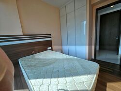 Hundred Trees (D5), Condominium #502425641